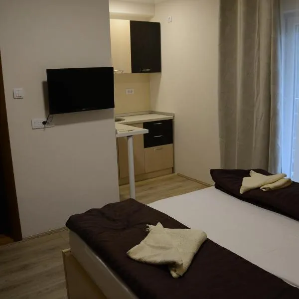 Atomski cvet Atomska banja Gornja Trepča，位于查查克的酒店