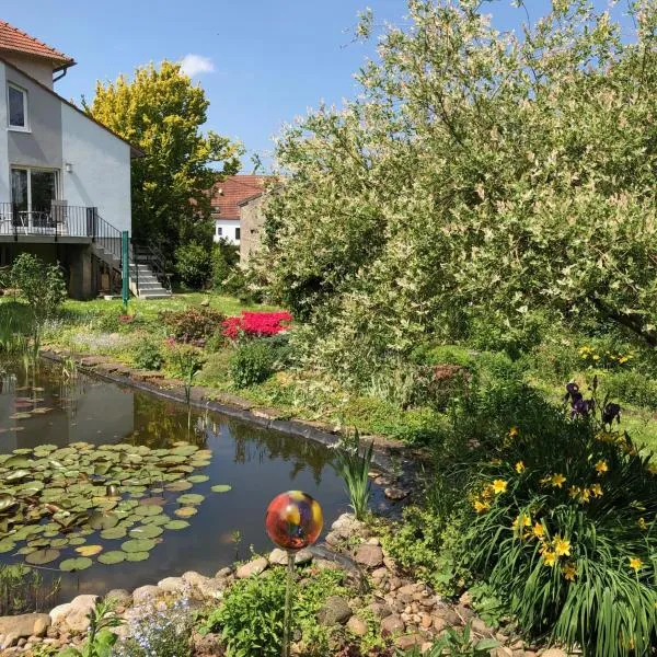 Ferienwohnung Maurer，位于Hasborn-Dautweiler的酒店