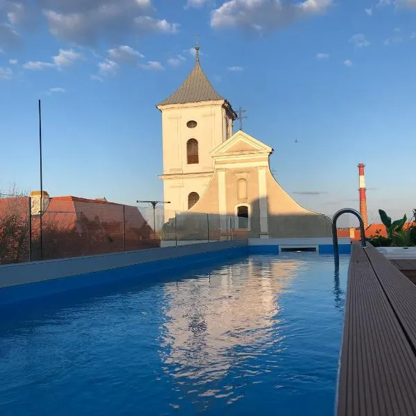 Boutique hotel Tvrđa，位于Kopačevo的酒店