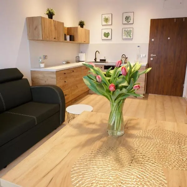 Apartament na Piernikowym z miejscem postojowym，位于托伦的酒店