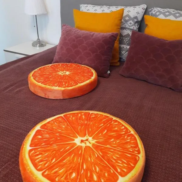 Hamina Orange Apartments Loft，位于Klamila的酒店