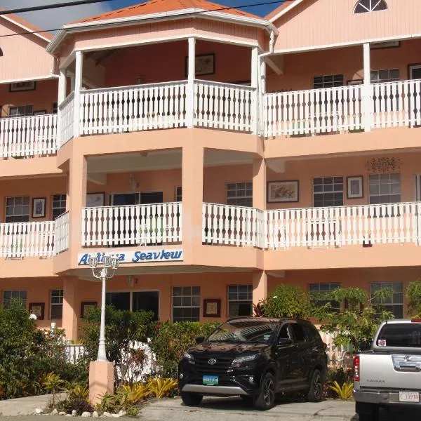 安提瓜海景酒店，位于圣约翰斯的酒店