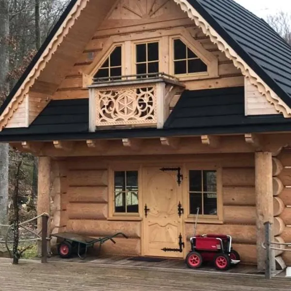 Walden Cabin，位于Steninge的酒店