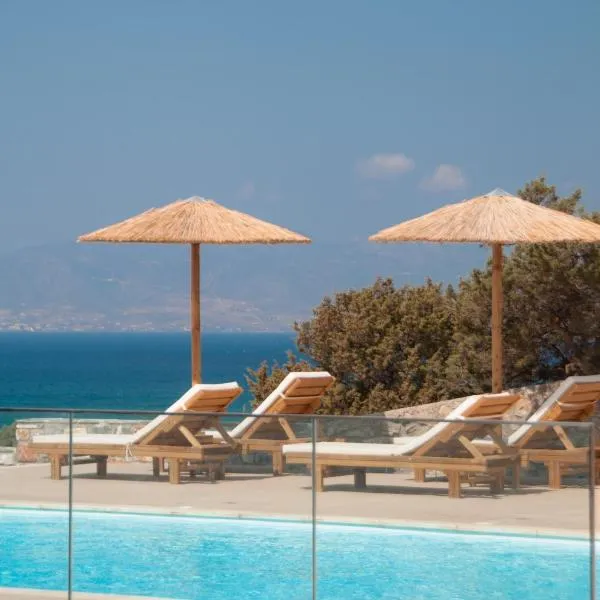 Phoenicia Naxos，位于Agiassos的酒店