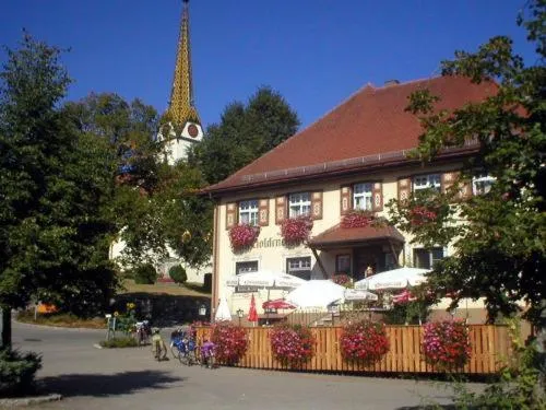 高登科瑞兹酒店，位于Fleischwangen的酒店