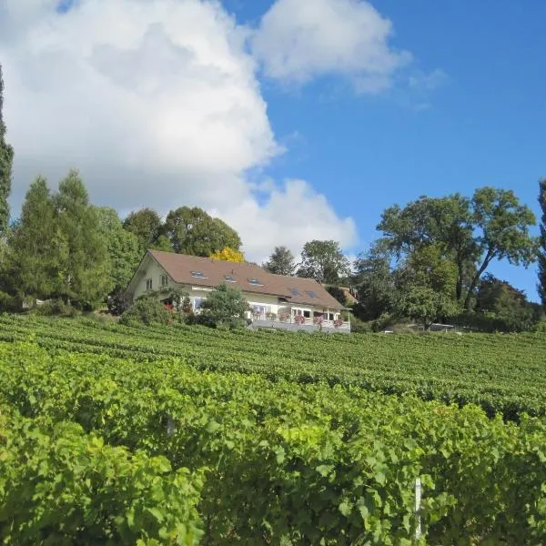 Domaine Beauregard，位于阿泽尔的酒店