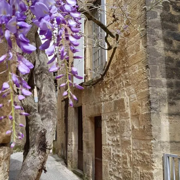 Le Rousseau Sarlat，位于萨尔拉拉卡内达的酒店