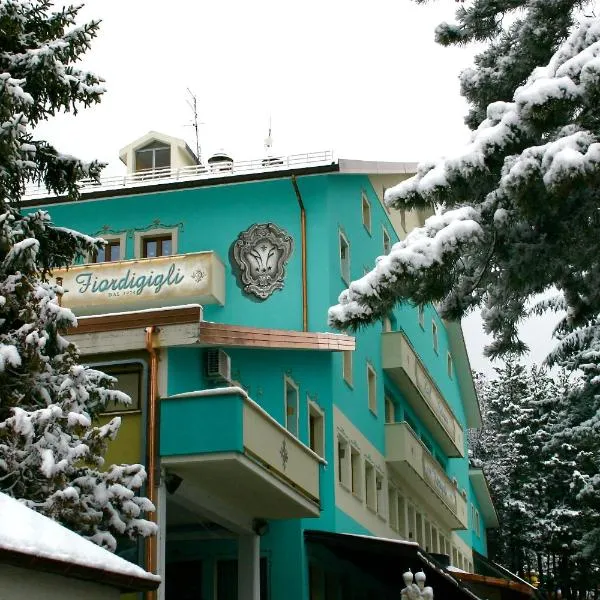 菲奥尔蒂格吉里酒店，位于阿塞尔吉的酒店
