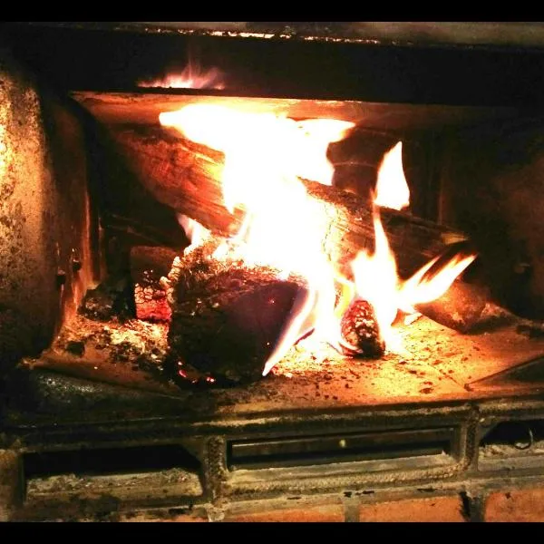 Apartamento Rural Las Palmeras，位于阿尔莫纳斯特尔拉雷亚尔的酒店