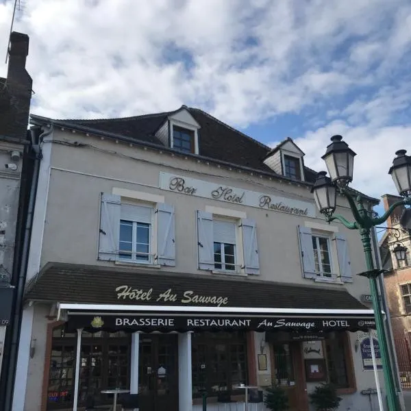 狂野酒店，位于Dampierre-en-Burly的酒店