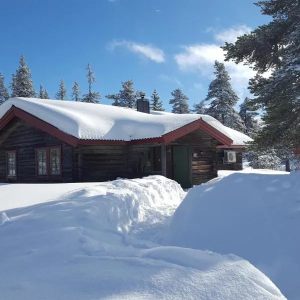 Sälens Bed & Breakfast Apartments，位于Rörbäcksnäs的酒店