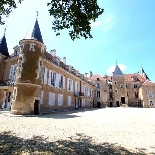 韦泽莱岛屿城堡酒店，位于Fontenay-près-Vézelay的酒店
