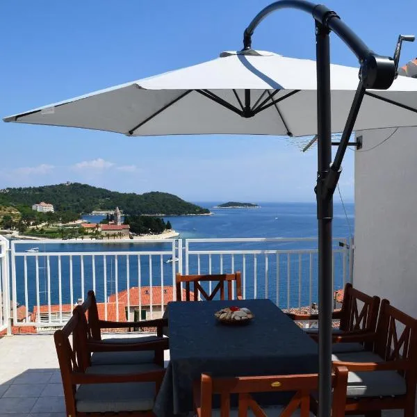 Apartmani Luan，位于Otok Vis的酒店