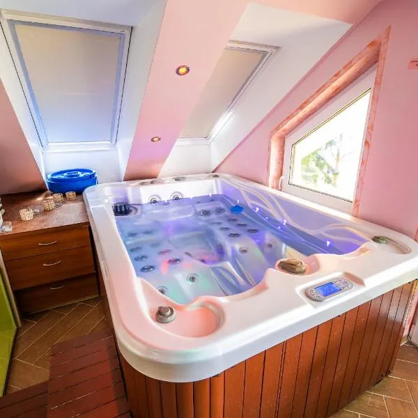 Luxury Apartment Ana with Hot tub，位于Šentvid pri Stični的酒店