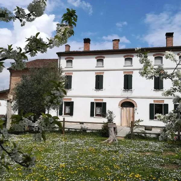 Agriturismo Loghino Sabbioni，位于Borgoforte的酒店