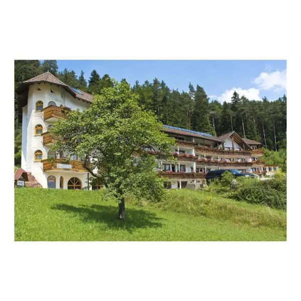 Landhotel Basler Hof，位于Dreimühlen的酒店