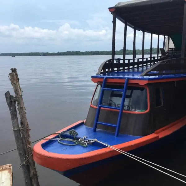 Orangutan Houseboat Park Tanjung Puting，位于庞卡兰布翁的酒店