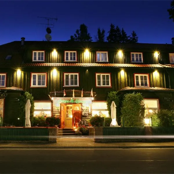 格鲁恩塔纳曼德霍尔酒店，位于特劳泰斯腾的酒店