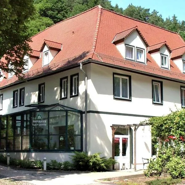 Waldhotel Linzmühle，位于Oppurg的酒店