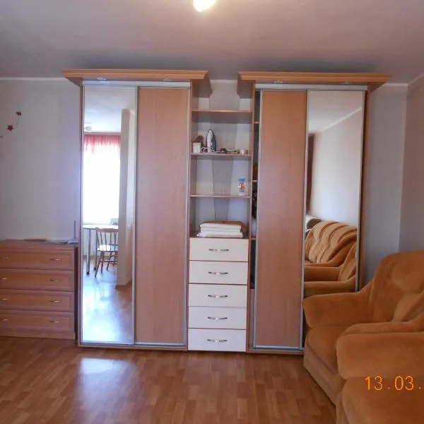 Apartment - Panasa Myrnoho 20，位于Velyka Bahachka的酒店