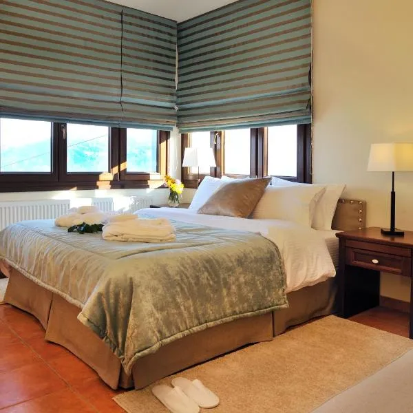卡帕尼阿里斯公寓式酒店，位于扎戈拉的酒店