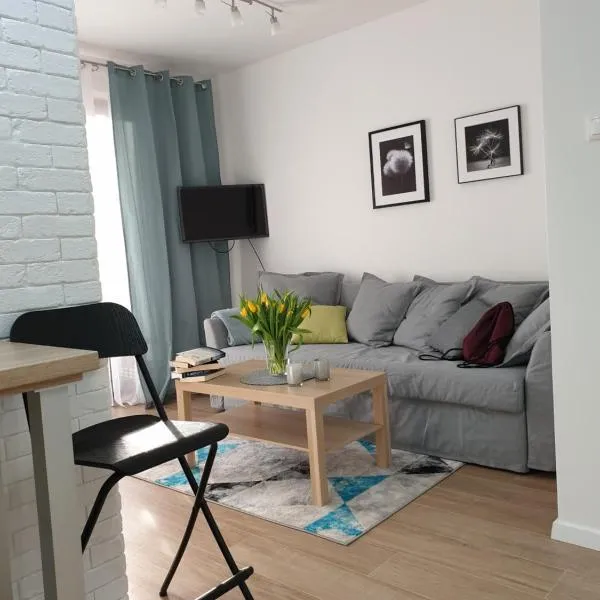 Apartament Zamojska - GarwoNocka，位于Zwola Poduchowna的酒店