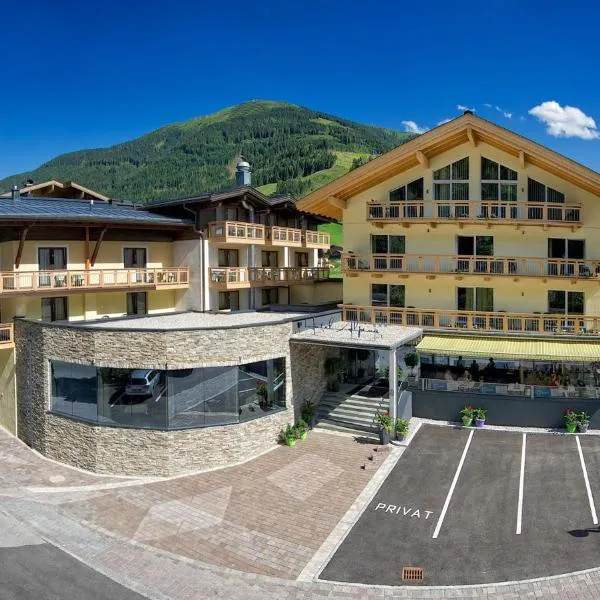 Hotel ALPINA，位于萨尔巴赫的酒店