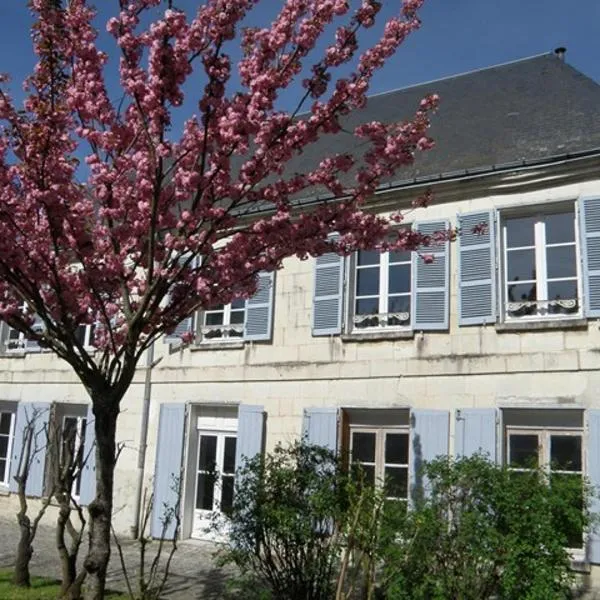 La Closerie Saint Jacques，位于Verneuil-sur-Indre的酒店