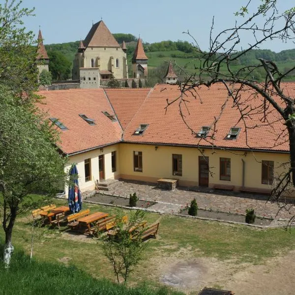 Unglerus Guesthouse，位于Noul-Săsesc的酒店