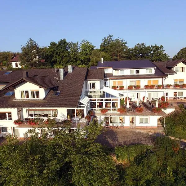 Pension Bergterrasse，位于Wilgartswiesen的酒店