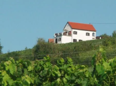 Kellerstöckl Eisenberg/Pinka Weiner，位于Edlitz im Burgenland的酒店