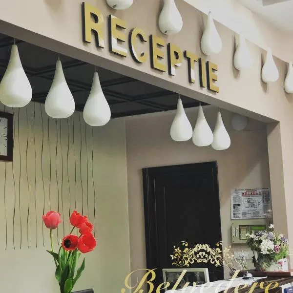 Hotel Belvedere，位于博托沙尼的酒店