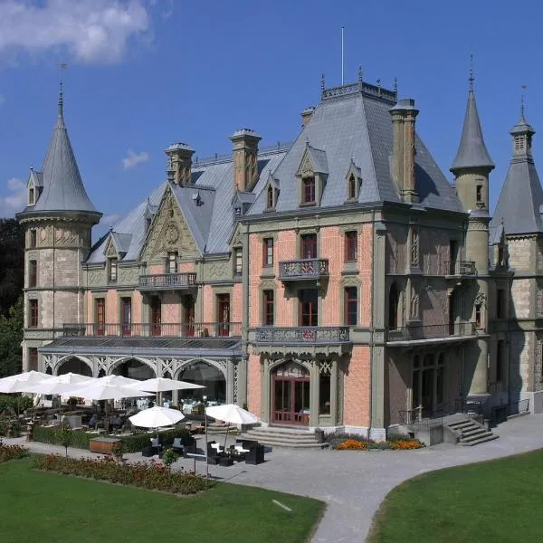 Schloss Schadau - Swiss Historic Hotel，位于Jaberg的酒店