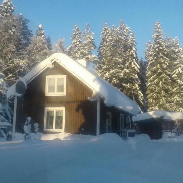 Holiday House in Lapland, Överkalix，位于Överkalix的酒店