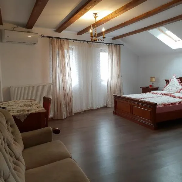 Casa Dorgo，位于Lipova的酒店