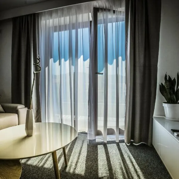 Luxury Apartments Taša，位于特雷比涅的酒店