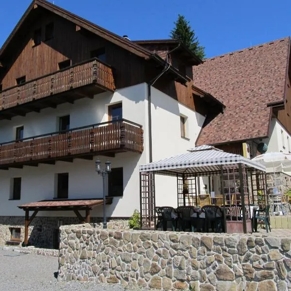 Apartmány Alpský Dům，位于泽勒兹纳·鲁达的酒店