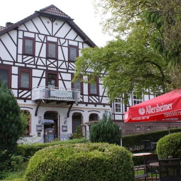 罗斯库格蓝迪酒店，位于Eschershausen的酒店