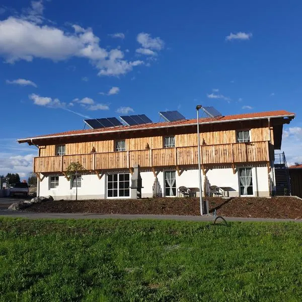 Gästehaus am Hahnenkamm，位于平斯旺的酒店