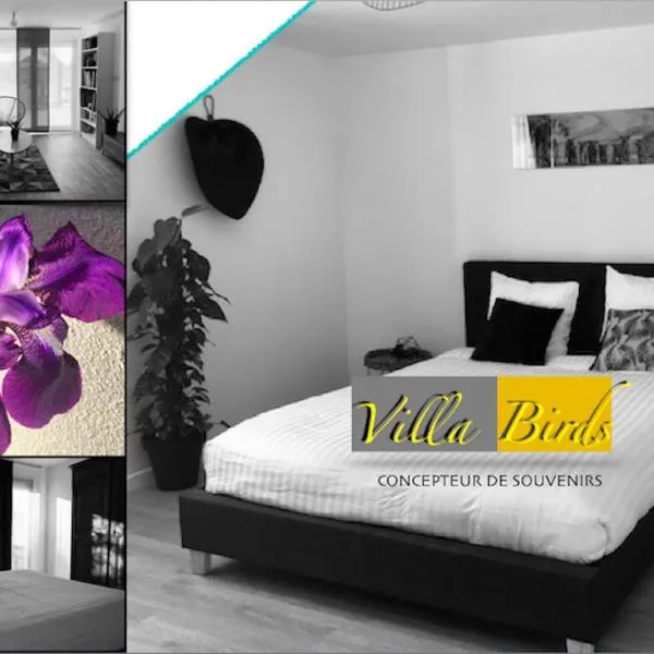 VILLA BIRDS，位于Saint-Martin-du-Tertre的酒店