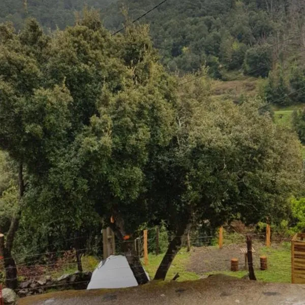 camping l'agrottu au cœur de la corse restaurant creperie，位于Santa-Lucia-di-Mercurio的酒店