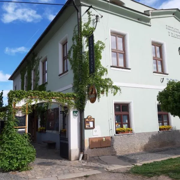 Penzion a restaurace U Hájků，位于Nové Dvory的酒店