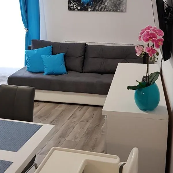 Apartament Wałowa Wejherowo，位于Bolszewo的酒店