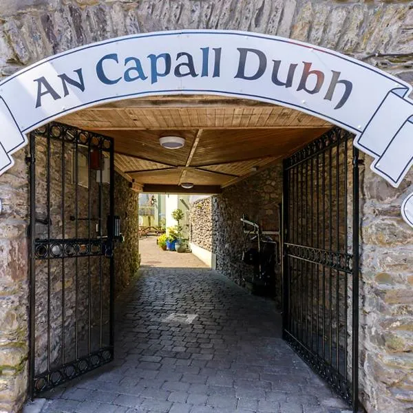 An Capall Dubh B&B Dingle，位于丁格尔的酒店