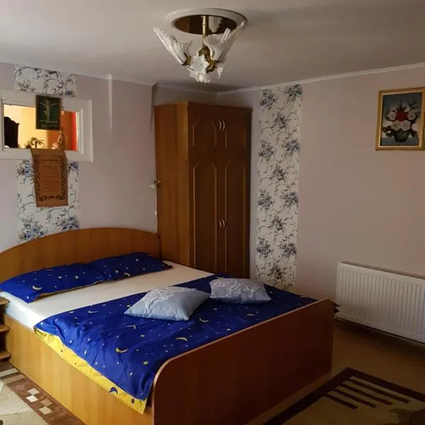 Casa de oaspeti Morii 22，位于Mălîncrav的酒店