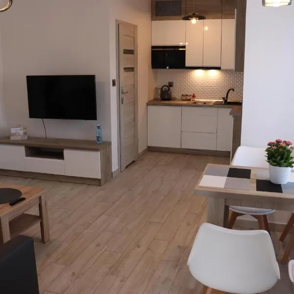 Apartament Natalia，位于布斯克·兹德鲁伊的酒店