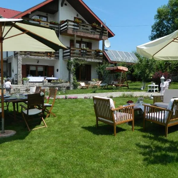 浪漫佩秀尼亚酒店，位于Boiţa的酒店