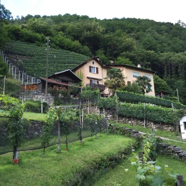 Casa immersa nel vigneto，位于Roveredo的酒店