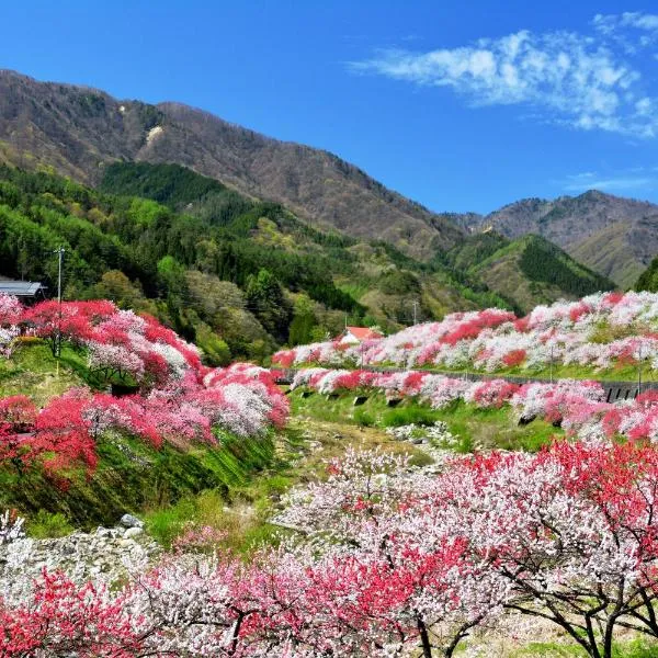 愈乐之宿 清风苑，位于阿智村的酒店