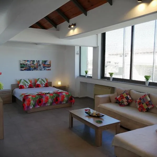 Spacious & Modern Studio Apartment Near the Airport，位于Glyka Nera的酒店